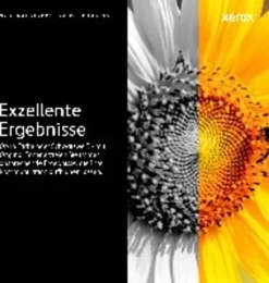 Xerox™ Xerox B225 / B230 / B235 Tonermodul Schwarz (1200 Seiten) - 006R04399, 1200 Seit 31 Xerox™ Xerox B225 / B230 / B235 Tonermodul Schwarz (1200 Seiten) - 006R04399, 1200 Seit -Smart Kitchen Store 39d309567e7cab03d254c5bfc705a891