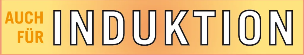 GSW Gusseisen Schmortopf Grey Shadow 30cm / 4,5 Ltr., Gusseisen, Schmortopf Mit Deckel ø Ca. 30 X H 9,0cm 5 GSW Gusseisen Schmortopf Grey Shadow 30cm / 4,5 Ltr., Gusseisen, Schmortopf Mit Deckel ø Ca. 30 X H 9,0cm – Bild 3