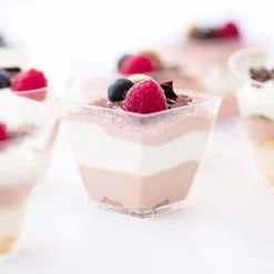10 Stück 2 Unzen Quadratische Dessertbecher Würfel Kunststoff Klar Mousse Becher GeburtstagsfeierNachbildung -Smart Kitchen Store 66d7d87094198a0271165651a71bb1f5