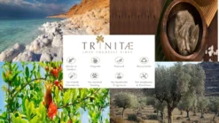 Villeroy & Boch 2 X Latte Macchiato Glas Ohne Henkel NewWave Vorteilsset 2 X Art. Nr. 1137373422 Und Gratis 1 Trinitae Körperpflegeprodukt 9 Villeroy & Boch 2 X Latte Macchiato Glas Ohne Henkel NewWave Vorteilsset 2 X Art. Nr. 1137373422 Und Gratis 1 Trinitae Körperpflegeprodukt -Smart Kitchen Store 67077e59e1a1032d5c820cf4eae4ab17