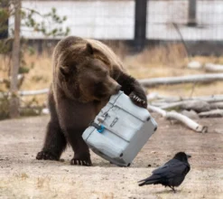 Lifetime Kühlbox 26,5 Liter Volumen -Smart Kitchen Store 68fca415da8308f13e0b69044a19e710