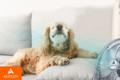 AERSON Bodenventilator 100W 40cm Windmaschine Tischventilator Ventilator Standventilator -Smart Kitchen Store 81d9c642b8243a556548050a0990cf41