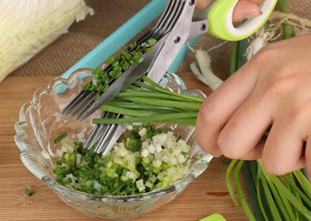 2er Set - 5 Klingen Kräuterschere Küche Aus Edelstahl | Mehrzweckschere Mit Reinigungsbürste | Universal Küchenschere Mit 5 Edelstahlklingen | Kräuterschneider | Gemüseschere Schnittlauchschere - Grün 10 2er Set - 5 Klingen Kräuterschere Küche Aus Edelstahl | Mehrzweckschere Mit Reinigungsbürste | Universal Küchenschere Mit 5 Edelstahlklingen | Kräuterschneider | Gemüseschere Schnittlauchschere - Grün – Bild 8