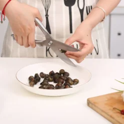 Professionelle Küchenschere Aus Edelstahl Für Huhn / Fleisch / Geflügel / Fisch / Kräuter / Pilze - Linkshänder Und Rechtshänder - Geflügelschere - Decopatent -Smart Kitchen Store ecc105d39e3e76b66807ef14fed2e4ea